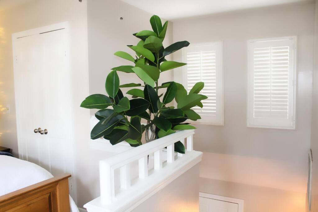 Cozy French Style Villa- 3 Bed-Casino-Pools-Jacuzzi Norwich Esterno foto